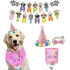 Dog boy birthday for sale  Delivered anywhere in USA 