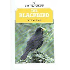Blackbird 13 for sale  Delivered anywhere in UK