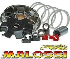 5113603 variatore malossi usato  Spedito ovunque in Italia 