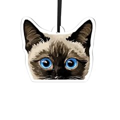 Wirester acrylic hanging for sale  Delivered anywhere in USA 