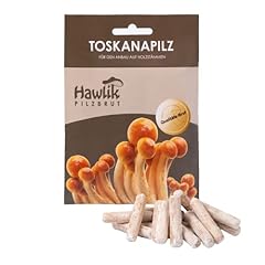 Hawlik pilzbrut originale usato  Spedito ovunque in Italia 
