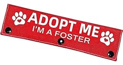 Advivio adopt foster for sale  Delivered anywhere in USA 