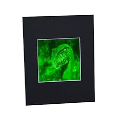 Velociraptor channel hologram for sale  Delivered anywhere in USA 