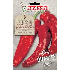 Bavicchi buste semi usato  Spedito ovunque in Italia 