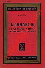 Canarino più comuni usato  Spedito ovunque in Italia 