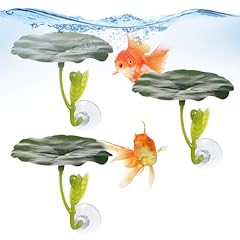 Bruislard pcs betta for sale  Delivered anywhere in USA 