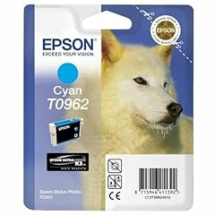Epson t096240 inkjet usato  Spedito ovunque in Italia 