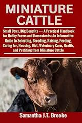 Miniature cattle small for sale  Delivered anywhere in USA 