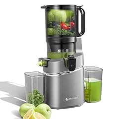 Amzchef extracteur jus d'occasion  Livré partout en France