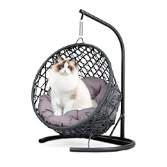 Daijia china cat for sale  Delivered anywhere in USA 