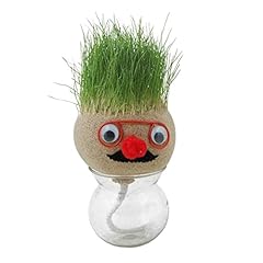 Bambola testa grass usato  Spedito ovunque in Italia 