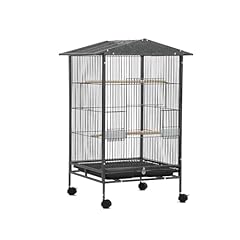 Sinopet parakeet bird for sale  Delivered anywhere in USA 