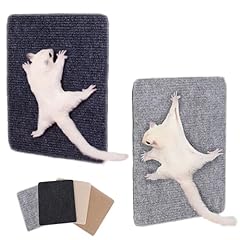 Sugar glider toys for sale  Delivered anywhere in USA 