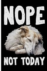 Nope today funny for sale  Delivered anywhere in UK
