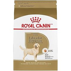 Royal canin labrador for sale  Delivered anywhere in USA 