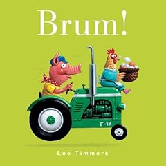 Brum leo timmers usato  Spedito ovunque in Italia 