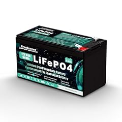 Batteria lifepo4 ricaricabile usato  Spedito ovunque in Italia 
