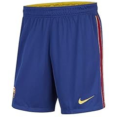 Nike herren shorts gebraucht kaufen  Wird an jeden Ort in Deutschland