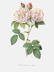 Livestock vintage flower for sale  Delivered anywhere in USA 