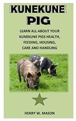 Kunekune pig learn for sale  Delivered anywhere in USA 