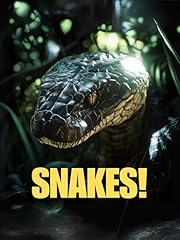 Snakes for sale  Delivered anywhere in UK