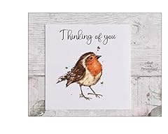 Thinking robin card for sale  Delivered anywhere in UK