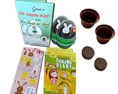 Tickleme plant egg for sale  Delivered anywhere in USA 