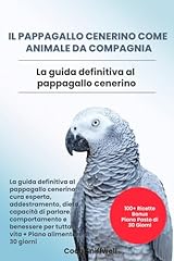 Pappagallo cenerino come usato  Spedito ovunque in Italia 