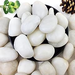 Yiszm 40lbs white for sale  Delivered anywhere in USA 