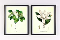 Vintage magnolia floral for sale  Delivered anywhere in USA 