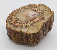 Eagems petrified wood for sale  Delivered anywhere in USA 