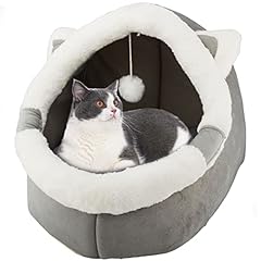 Cuccia per gatti usato  Spedito ovunque in Italia 