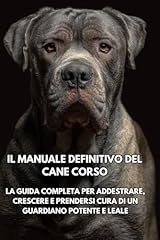 Manuale definitivo del usato  Spedito ovunque in Italia 