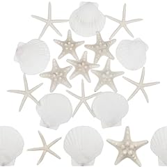 Songjum 15pcs scallop for sale  Delivered anywhere in UK