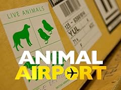 Animal airport for sale  Delivered anywhere in UK