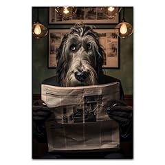 Hudo irish wolfhound for sale  Delivered anywhere in USA 