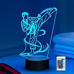 Ammonite karate luce usato  Spedito ovunque in Italia 