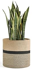 Dahey jute rope for sale  Delivered anywhere in USA 