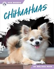 Chihuahuas usato  Spedito ovunque in Italia 