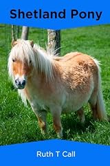 Shetland pony for sale  Delivered anywhere in USA 