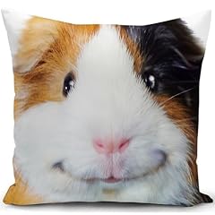 Kunqian guinea pig for sale  Delivered anywhere in UK
