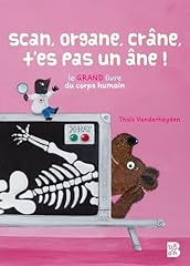 Scan organe crâne d'occasion  Livré partout en Belgiqu