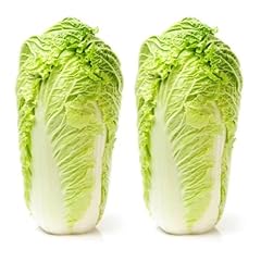 Fresh chinese leaf for sale  Delivered anywhere in UK