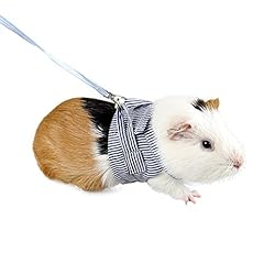 Guinea pigs vest for sale  Delivered anywhere in Ireland