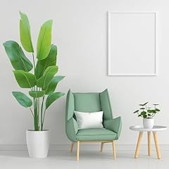 Bird paradise plant for sale  Delivered anywhere in USA 
