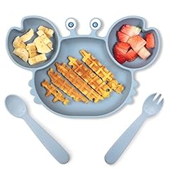 Rocced suction plates for sale  Delivered anywhere in USA 