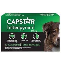 Capstar oral flea for sale  Delivered anywhere in USA 