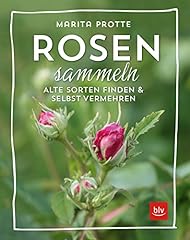 Rosen sammeln alte gebraucht kaufen  Wird an jeden Ort in Deutschland