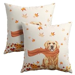 Golden retriever dog for sale  Delivered anywhere in USA 