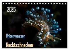 Unterwasser nacktschnecken 202 gebraucht kaufen  Wird an jeden Ort in Deutschland